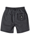 Quiksilver Taxer WS Korte broek