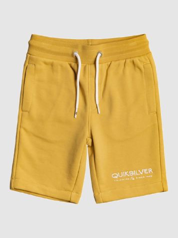 Quiksilver Easy Day Rib Shorts