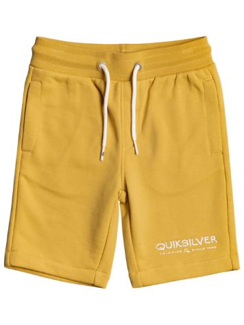 Quiksilver Easy Day Rib Pantalones Cortos