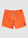 Quiksilver Everyday Volley 13″ Kids Boardshorts