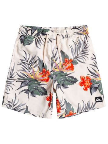 Quiksilver Paradise Express Volley 15 Boardshorts