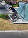 New Balance Numeric NM255 Skatesko