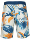 O'Neill Hyperfreak Mystic-Cal Boardshorts