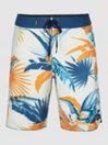 O'Neill Hyperfreak Mystic-Cal Boardshorts