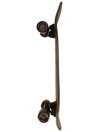 Arbor Flagship Pilsner 29″ Skateboard