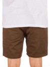 Volcom Frickin Skate EW 18″ Shorts