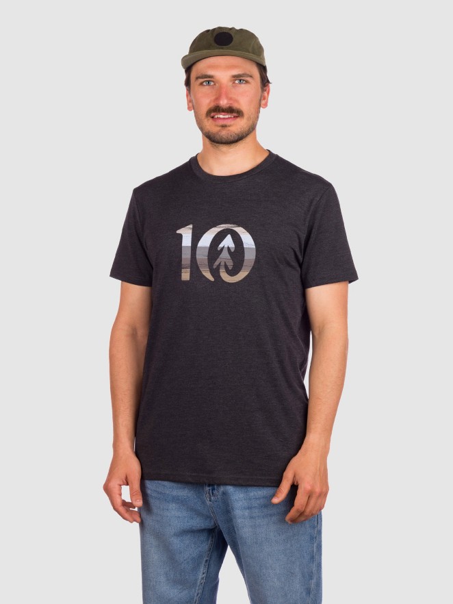 Tentree Spruce Stripe Ten T-Paita