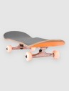 Globe Goodstock 8.125″ Skateboard complet