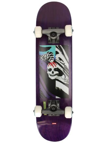 Globe Mt Warning Micro 6.5&quot; Skateboard complet