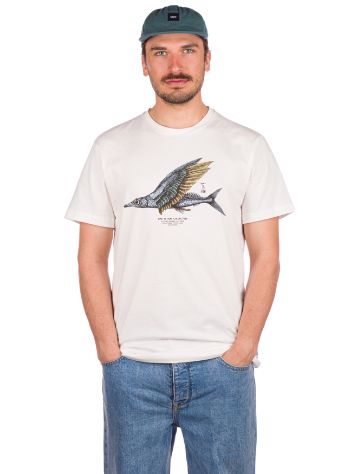 Picture Flycod D&amp;S T-Shirt