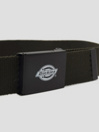 Dickies Orcutt Webbing Ceinture