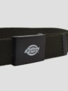 Dickies Orcutt Webbing Belt