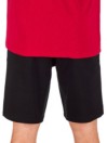 Dickies Champlin Shorts