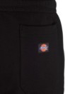 Dickies Champlin Shorts