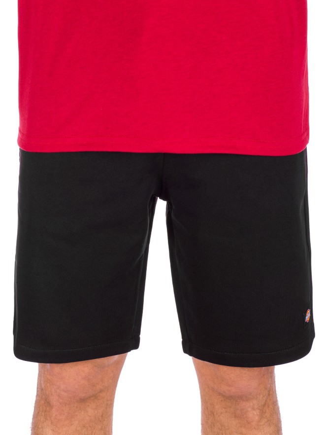 Dickies Champlin Shorts