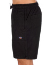 Dickies Pelican Rapids Shorts