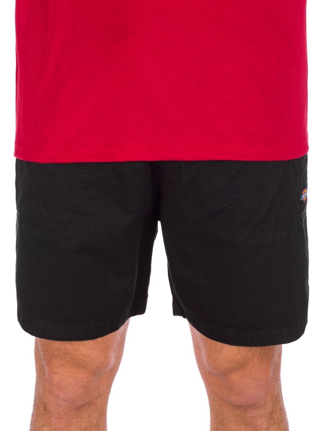 Dickies Pelican Rapids Shorts