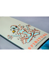 Dusters Zen Longboard 38″ Complete