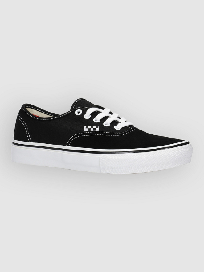 Vans Skate Authentic Skate Shoes