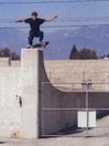 Vans Skate Sk8-Hi Skate Shoes