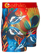 Peacock Party Mid Boxer