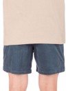 Katin USA Cord Local Shorts