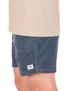 Katin USA Cord Local Shorts