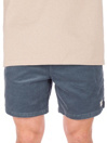 Katin USA Cord Local Shorts