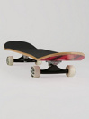 Powell Peralta Vallely Elephant 8.25″ Skateboard Completo