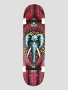 Powell Peralta Vallely Elephant 8.25″ Skateboard Completo