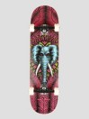 Powell Peralta Vallely Elephant 8.25″ Skateboard Completo