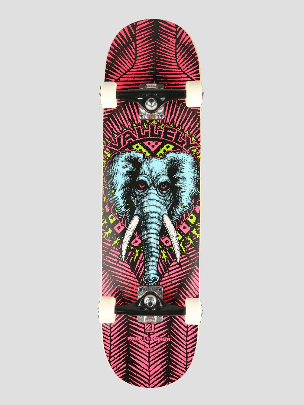 Vallely Elephant 8.25&amp;#034; Skate Completo