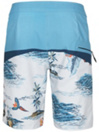 O'Neill Hyperfreak Boardshorts