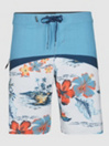 O'Neill Hyperfreak Boardshorts