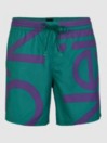 O'Neill Cali Zoom Boardshorts