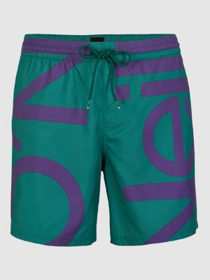 O'Neill Cali Zoom Boardshorts