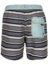 O'Neill Horizon Stripe Surffishortsit