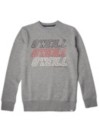 O'Neill All Year Crew Felpa