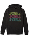 O'Neill All Year Sudadera con Capucha