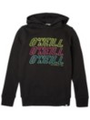 O'Neill All Year Sudadera con Capucha