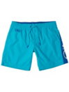 O'Neill Waterprint Koupacky