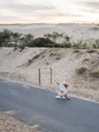 YOW Malibu 36″ Surfskate