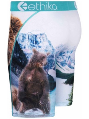 Ethika Brothers Bears Long Boxers