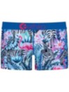 Ethika Zebra Paradise Staple Spodní prádlo