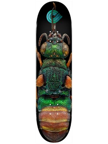 Powell Peralta Levon B 244 Ruby Tailed Wasp Ppscle 8.5&quot; Skateboard Deck