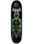 Levon Biss 248 Tiger Beetle Popscl 8.25&amp;#034; Skateboard deck