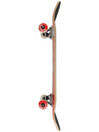 Almost Neo Express FP 8.0″ Skateboard Completo
