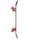 Almost Neo Express FP 8.0″ Complete
