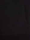 Santa Cruz Winkowski Dope Planet Sudadera con Capucha