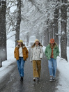Billabong January Puffa Takki